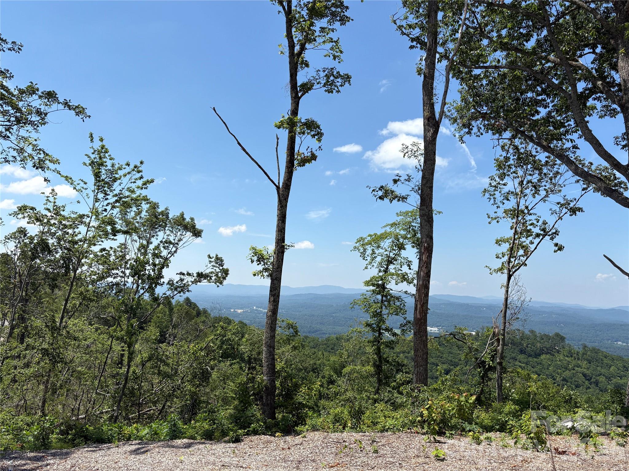 Lot 50 Mountain Grove Lane 50 Property Photo 3