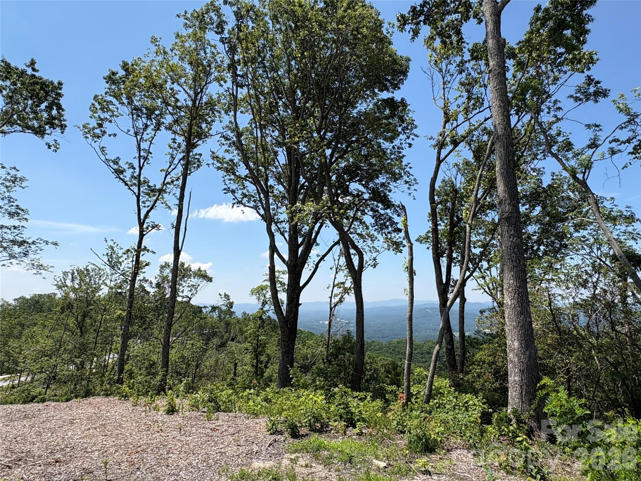 Lot 50 Mountain Grove Lane 50 Property Photo 4