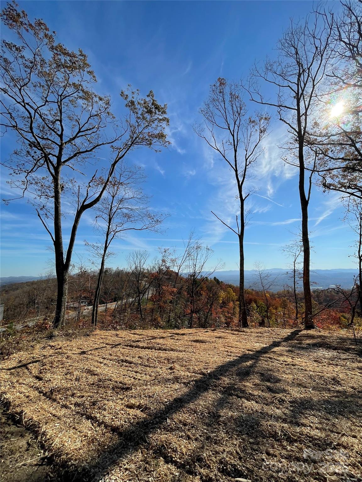 Lot 50 Mountain Grove Lane 50 Property Photo 5