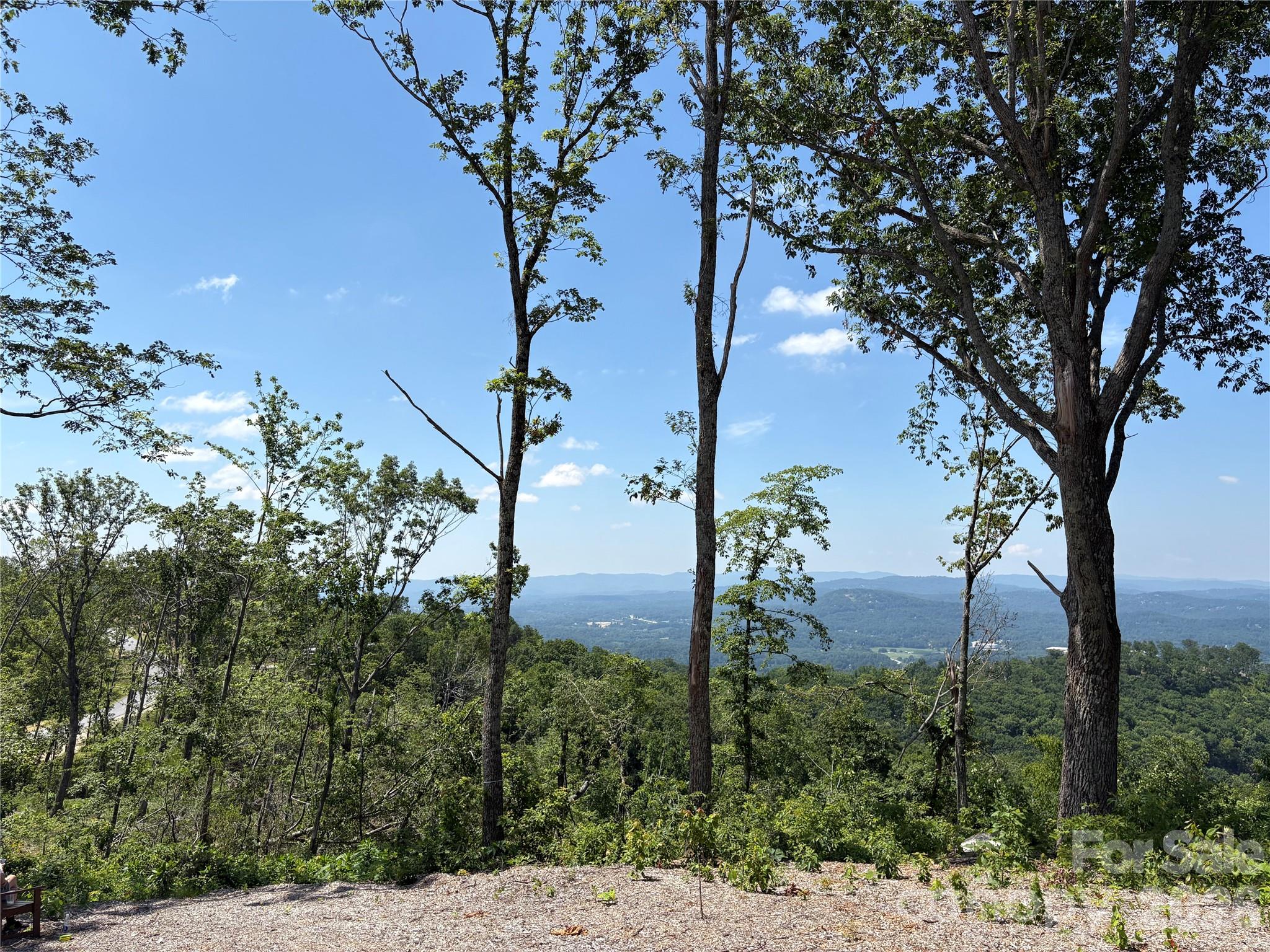 Lot 50 Mountain Grove Lane 50 Property Photo 6