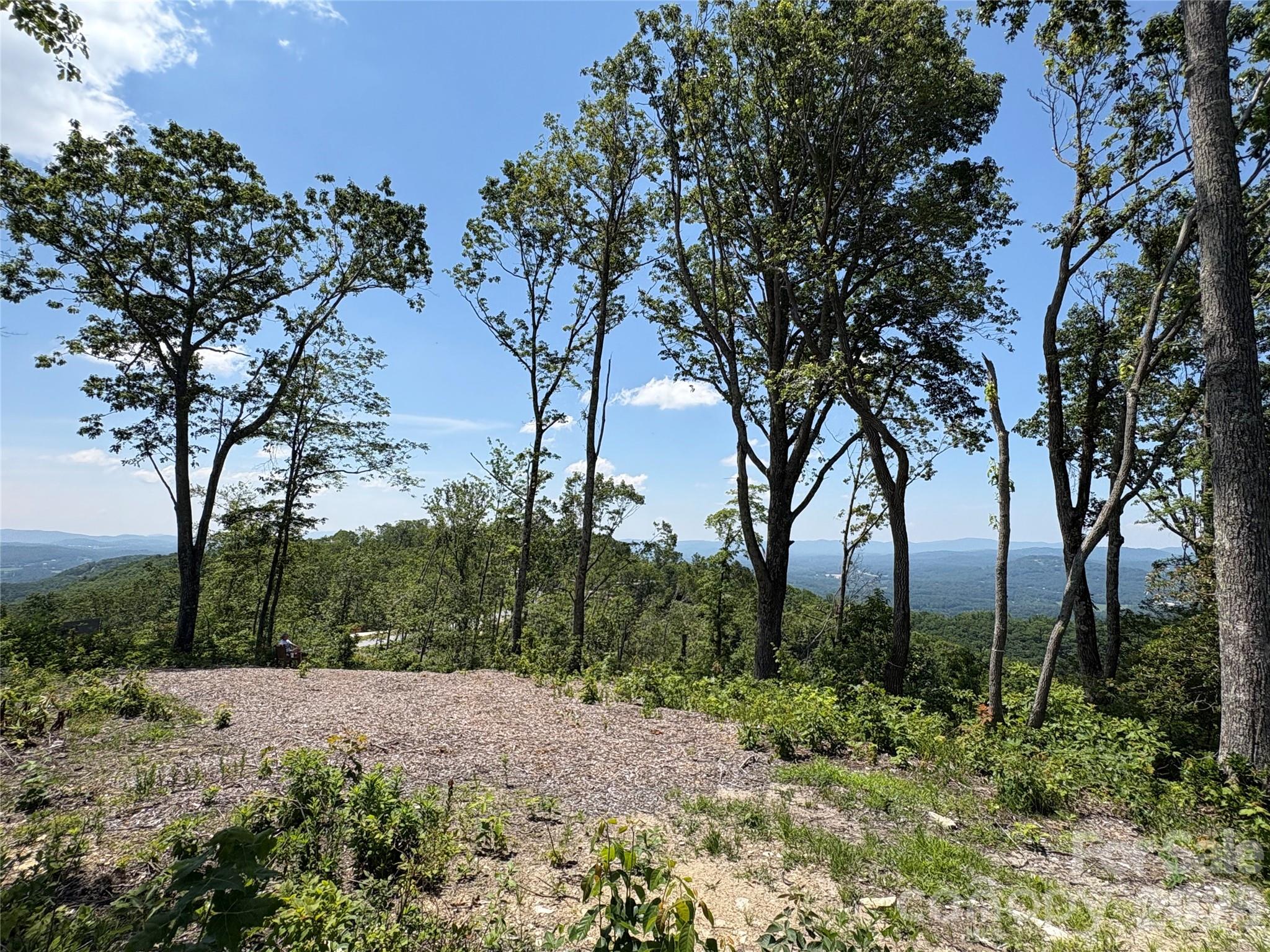 Lot 50 Mountain Grove Lane 50 Property Photo 8