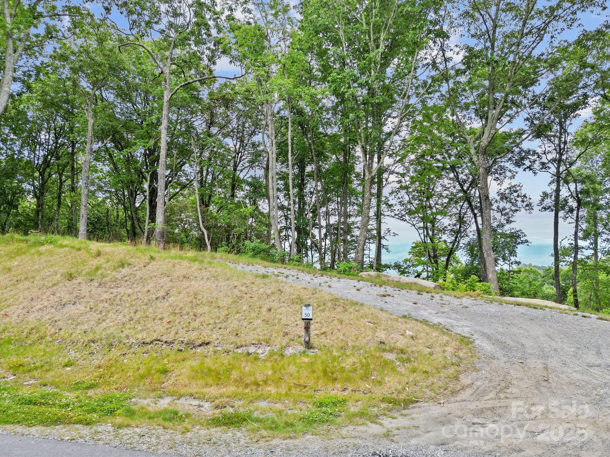Lot 50 Mountain Grove Lane 50 Property Photo 10