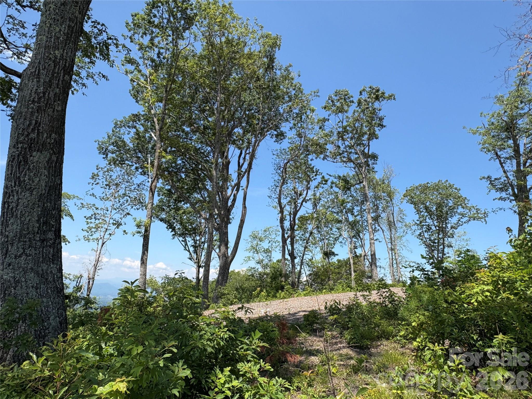Lot 50 Mountain Grove Lane 50 Property Photo 10