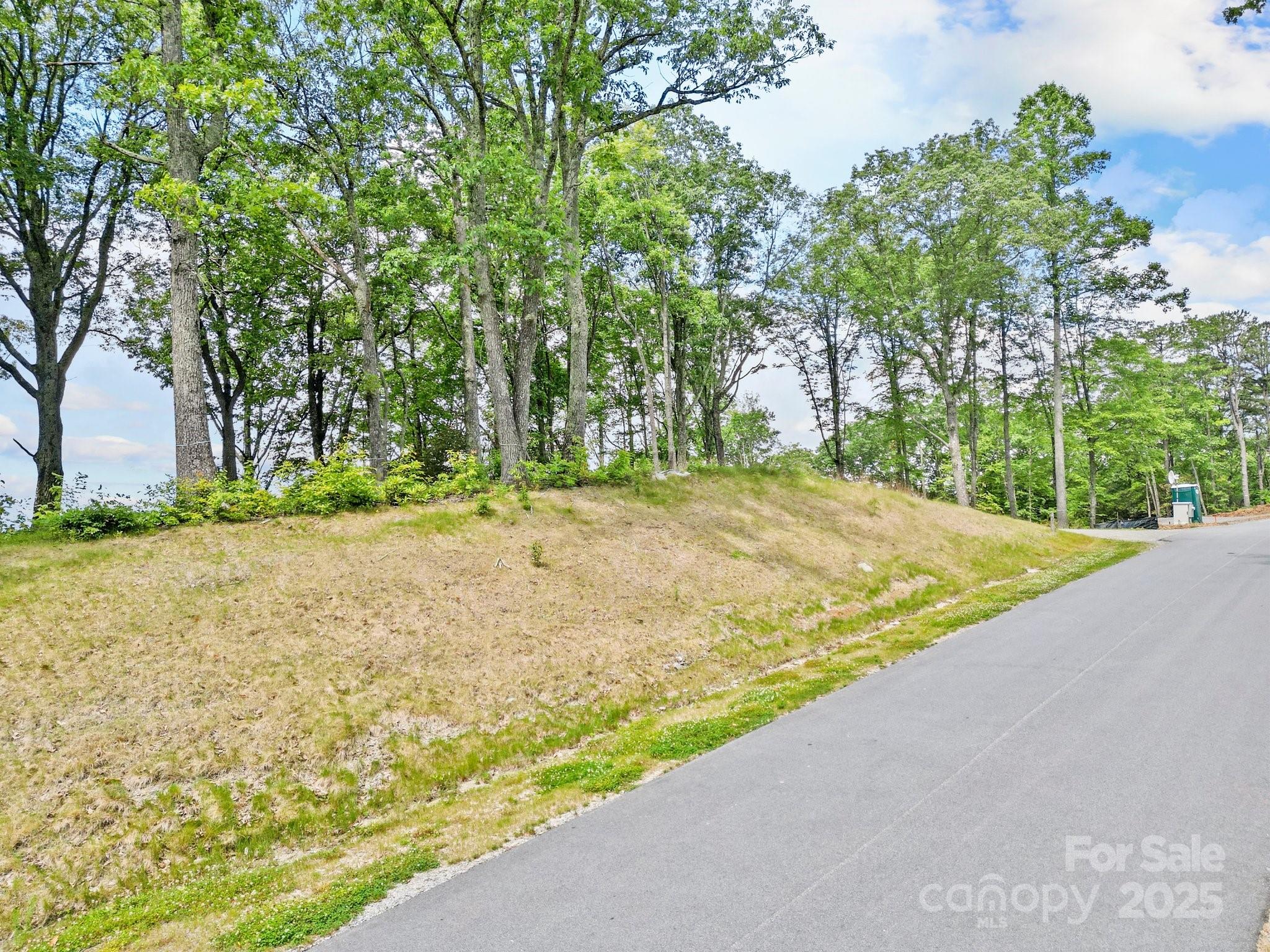 Lot 50 Mountain Grove Lane 50 Property Photo 11