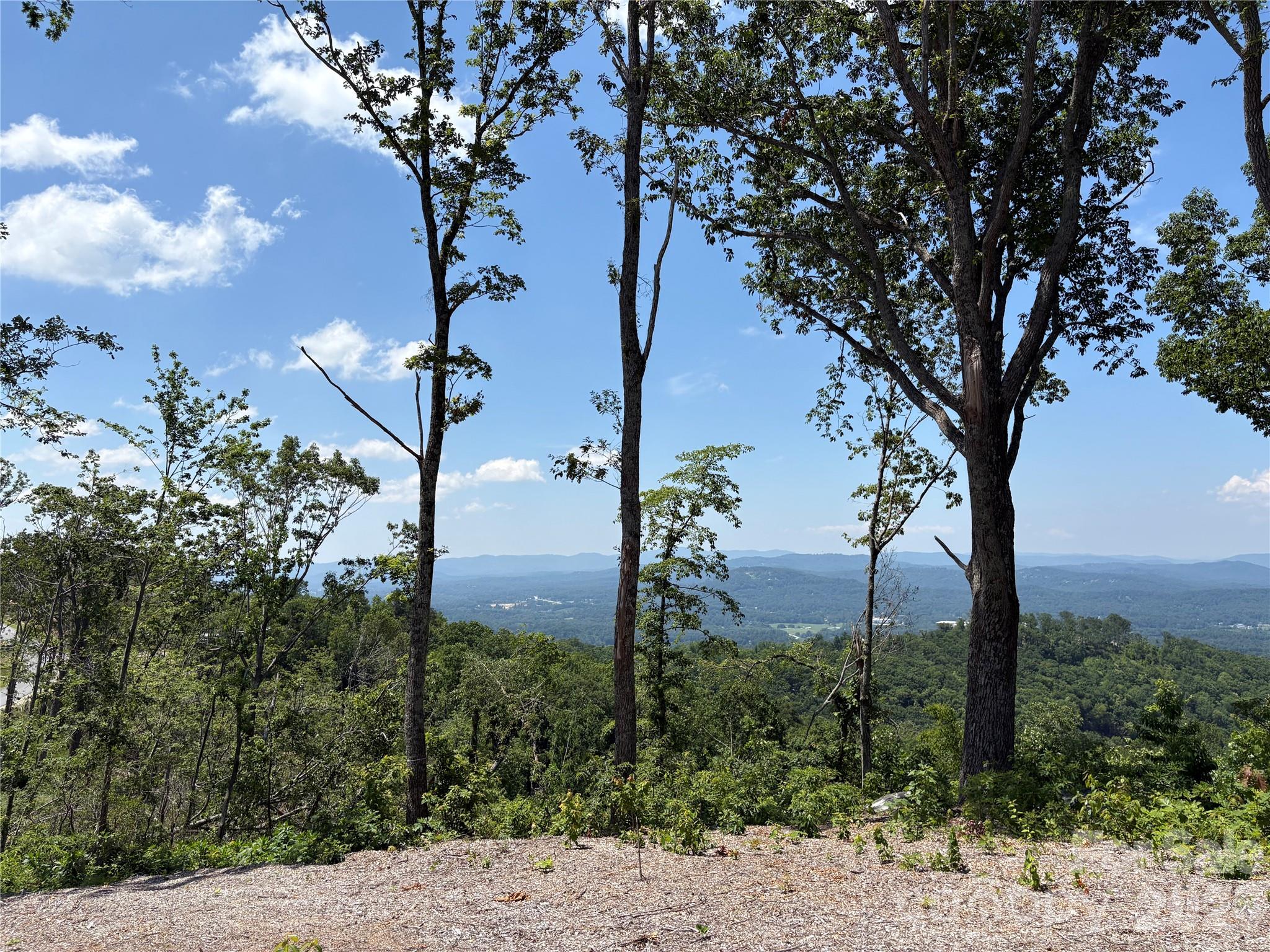 Lot 50 Mountain Grove Lane 50 Property Photo 11