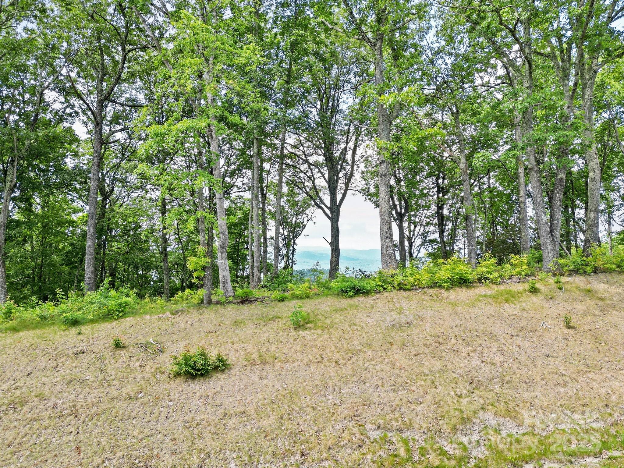 Lot 50 Mountain Grove Lane 50 Property Photo 12