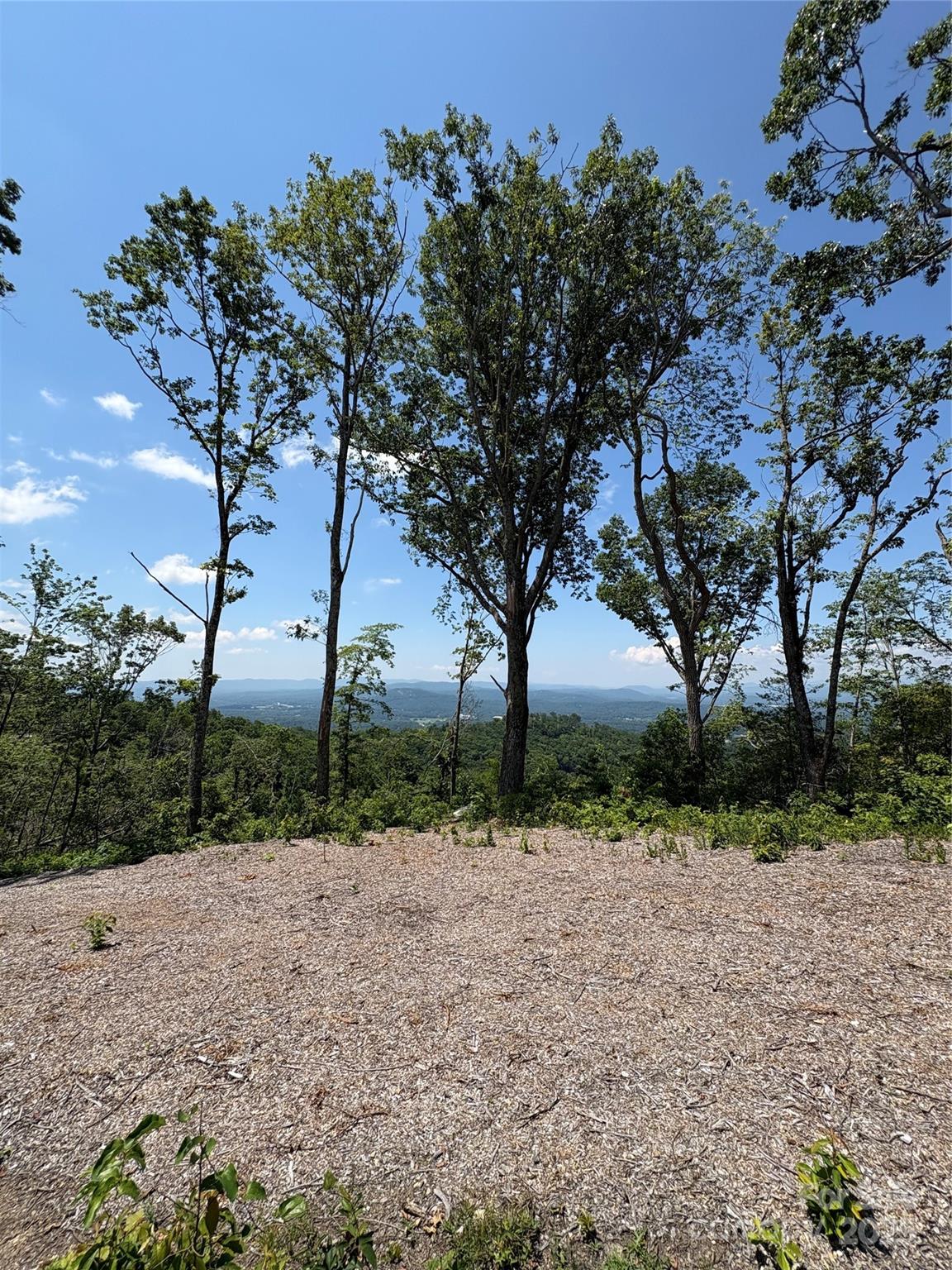 Lot 50 Mountain Grove Lane 50 Property Photo 14