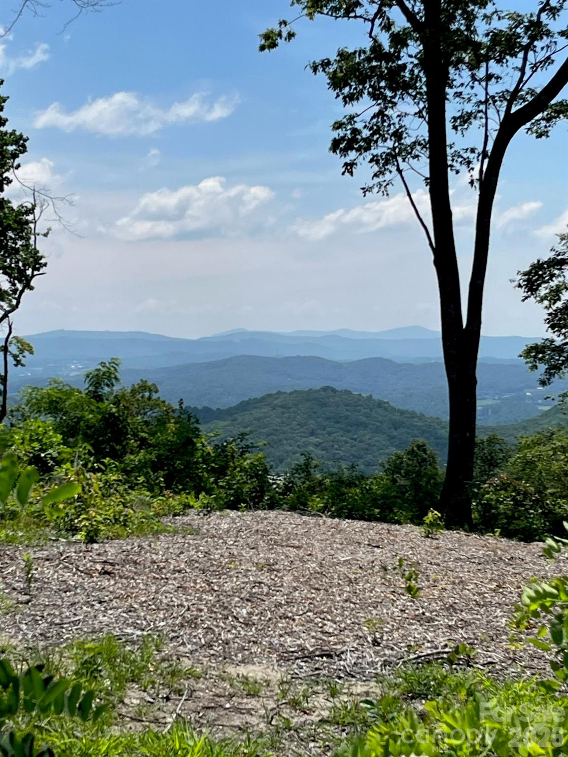 Lot 50 Mountain Grove Lane 50 Property Photo 19