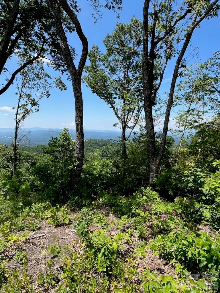 Lot 50 Mountain Grove Lane 50 Property Photo 20