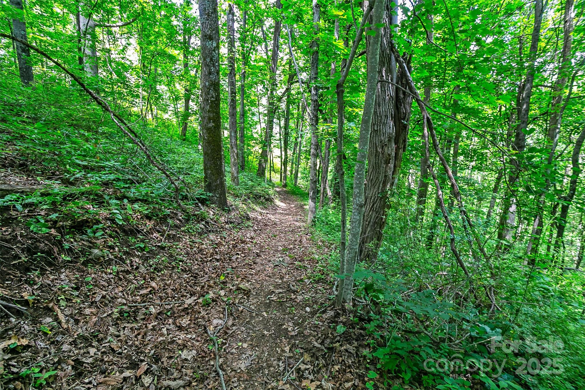 Lot 50 Mountain Grove Lane 50 Property Photo 21