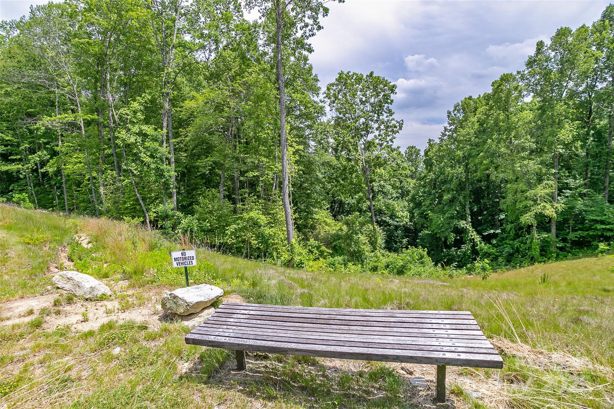 Lot 50 Mountain Grove Lane 50 Property Photo 24