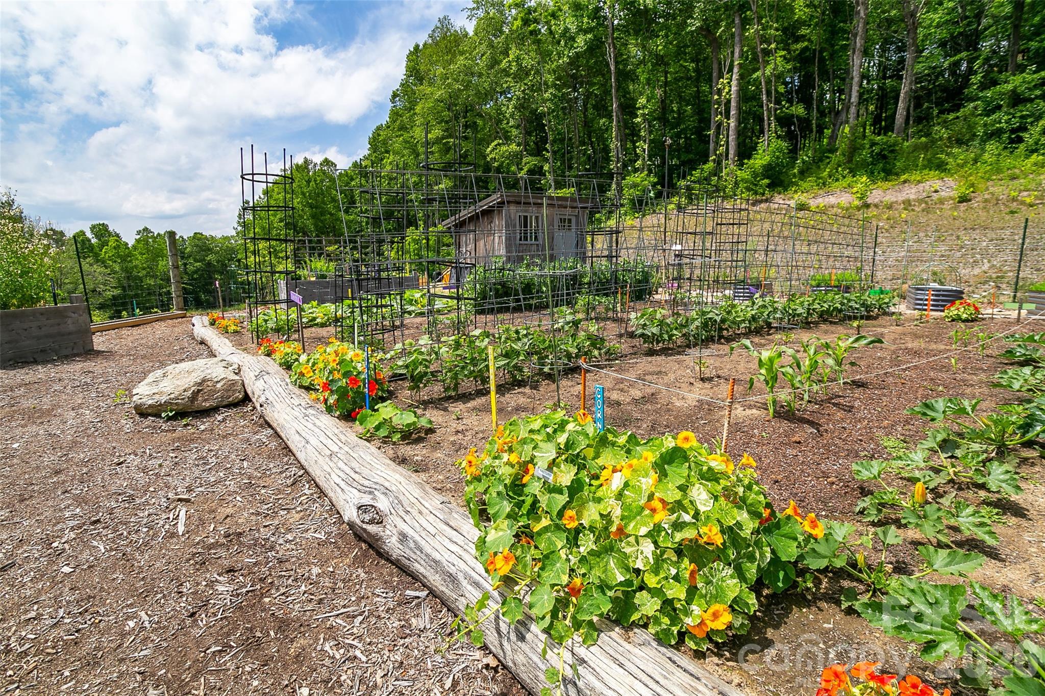 Lot 50 Mountain Grove Lane 50 Property Photo 29
