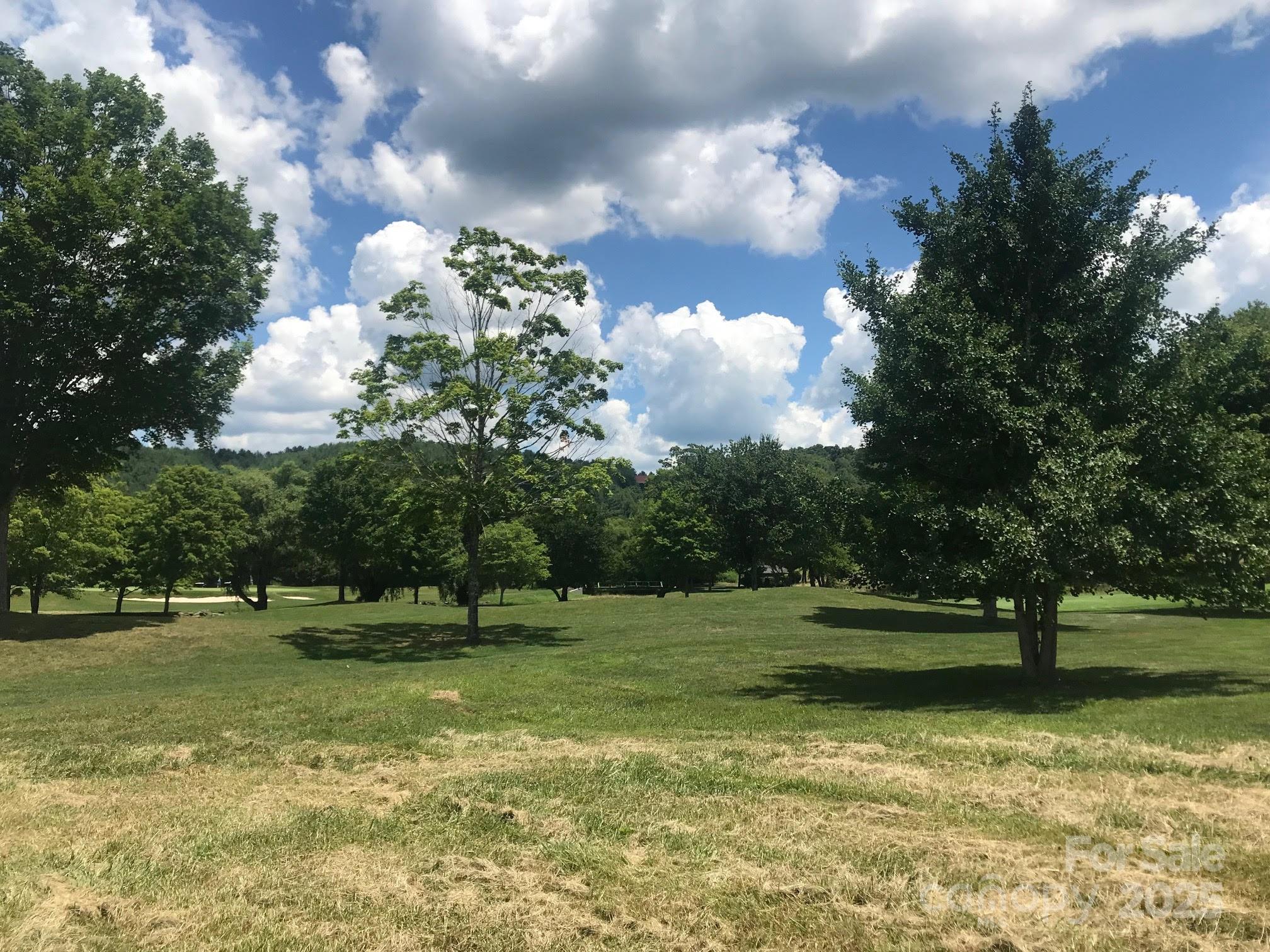 Tbd (lot 5) Village Court Property Photo