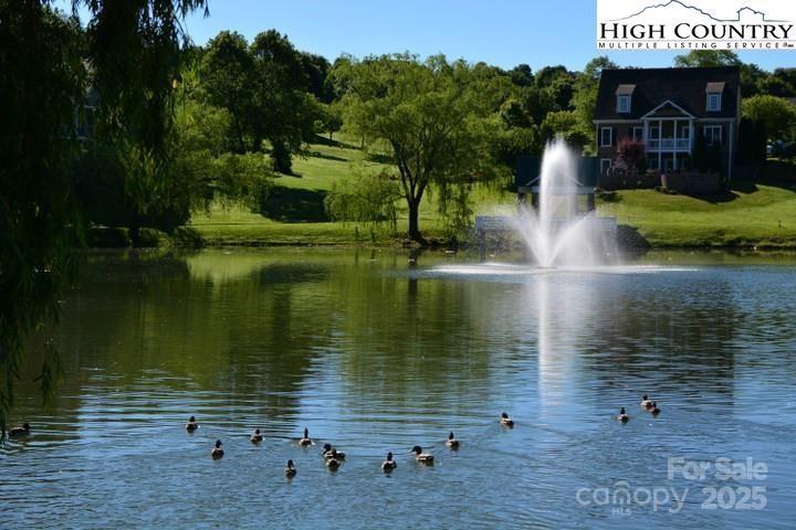 Tbd (lot 5) Village Court Property Photo 10