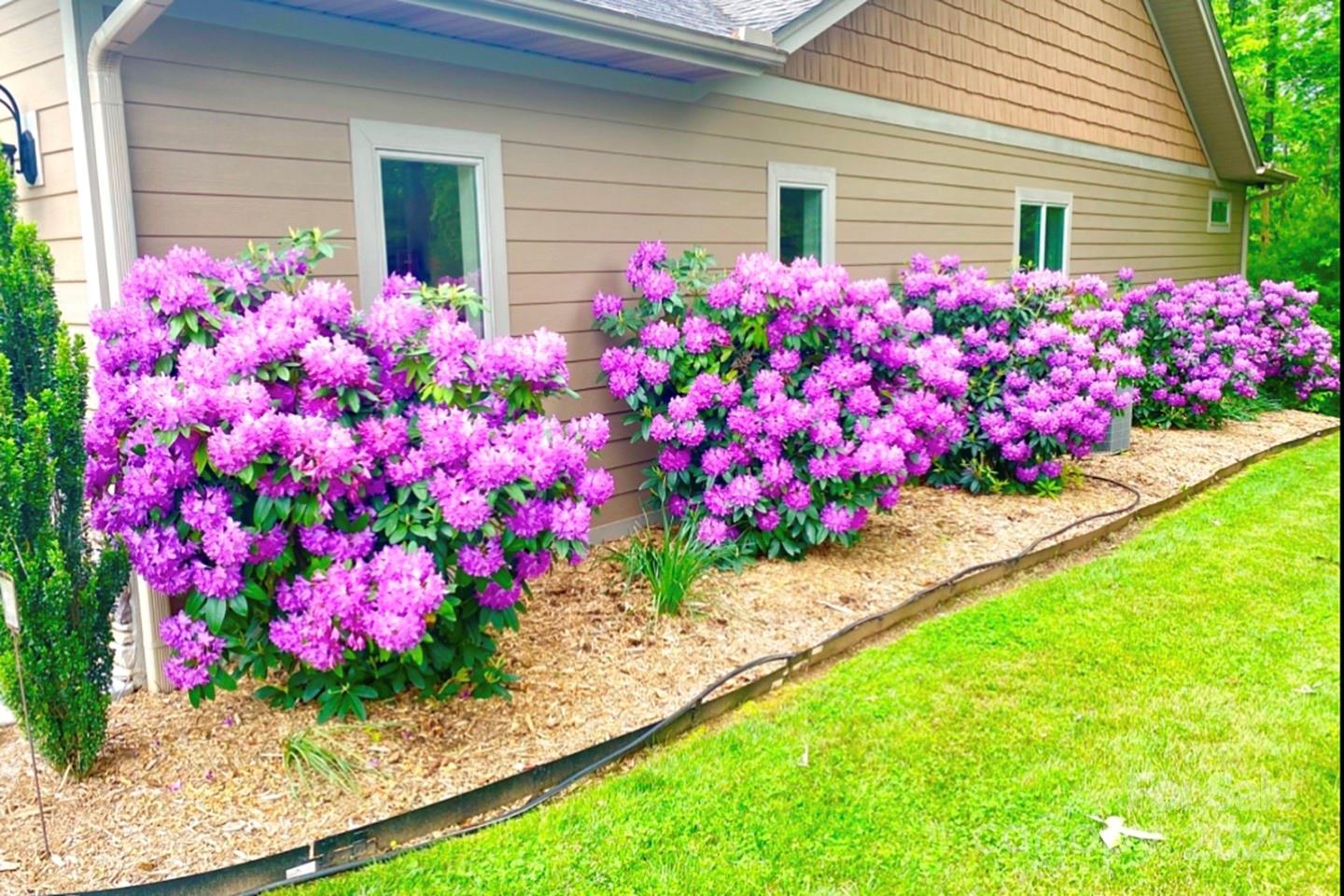 178 Sapphire Place Property Photo 4