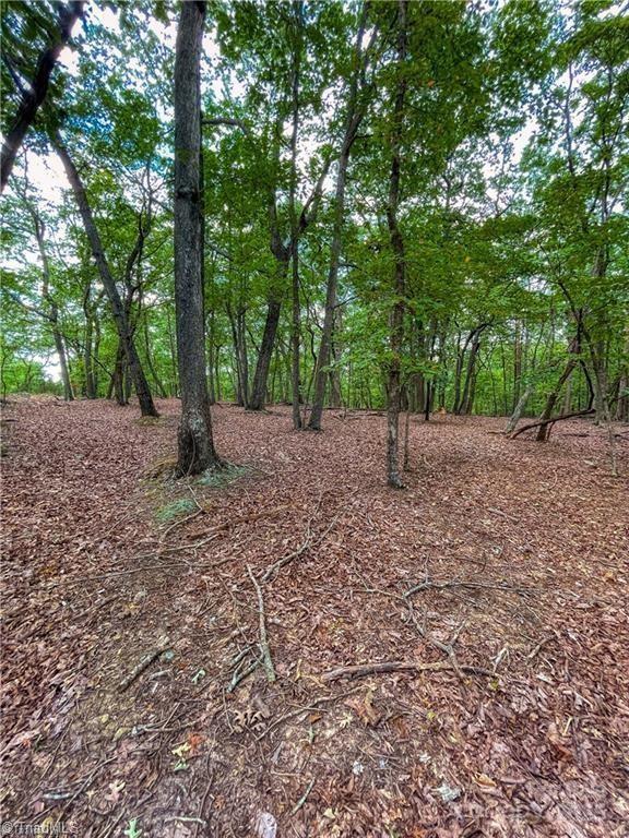 1175 Sierra Trace Road 209 Property Photo 11