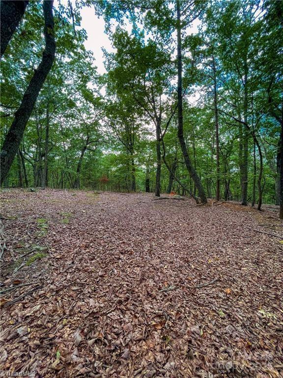 1175 Sierra Trace Road 209 Property Photo 13