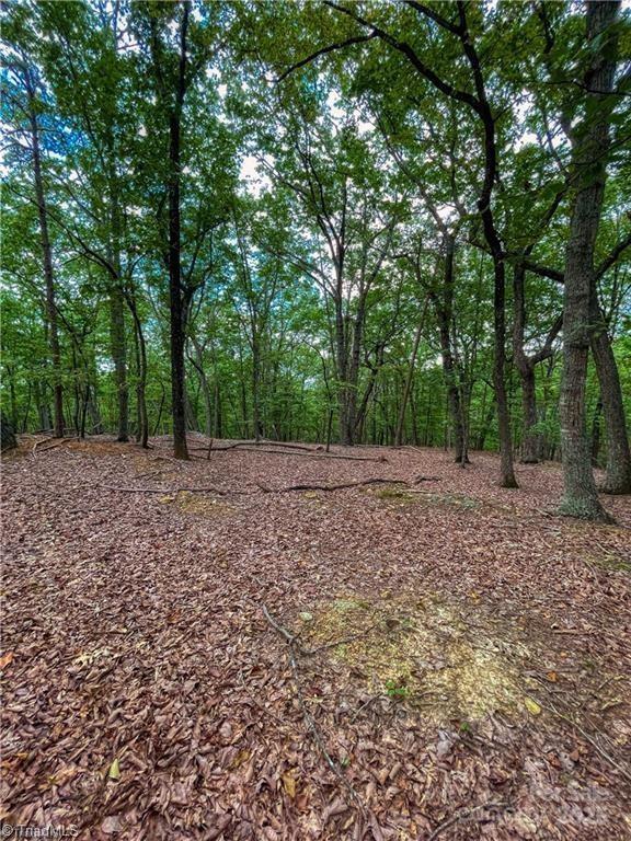 1175 Sierra Trace Road 209 Property Photo 14