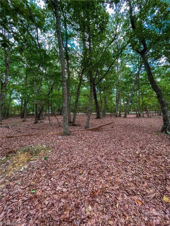 1175 Sierra Trace Road 209 Property Photo 15