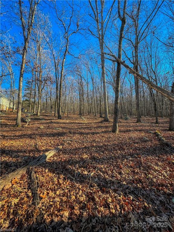 325 Rocky Cove Lane Property Photo 4