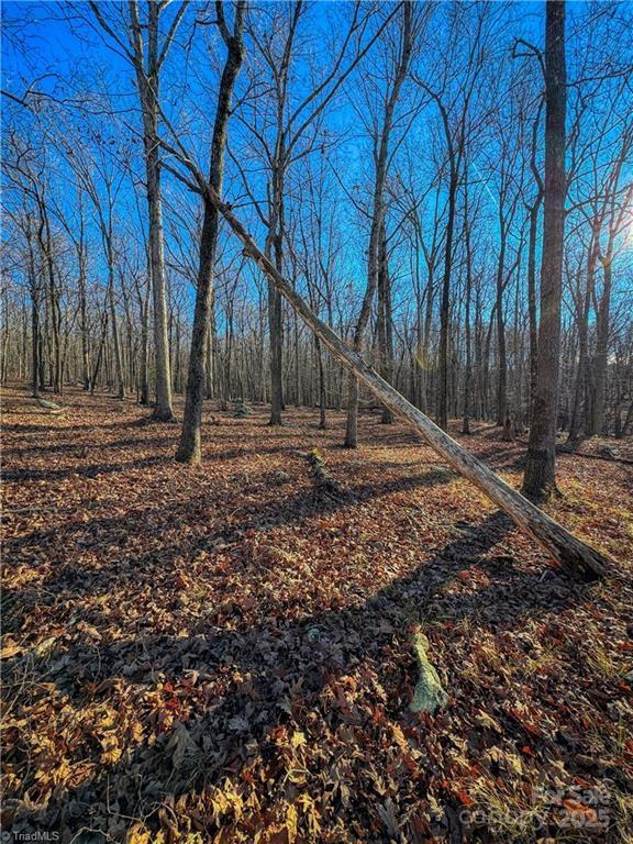 325 Rocky Cove Lane Property Photo 5