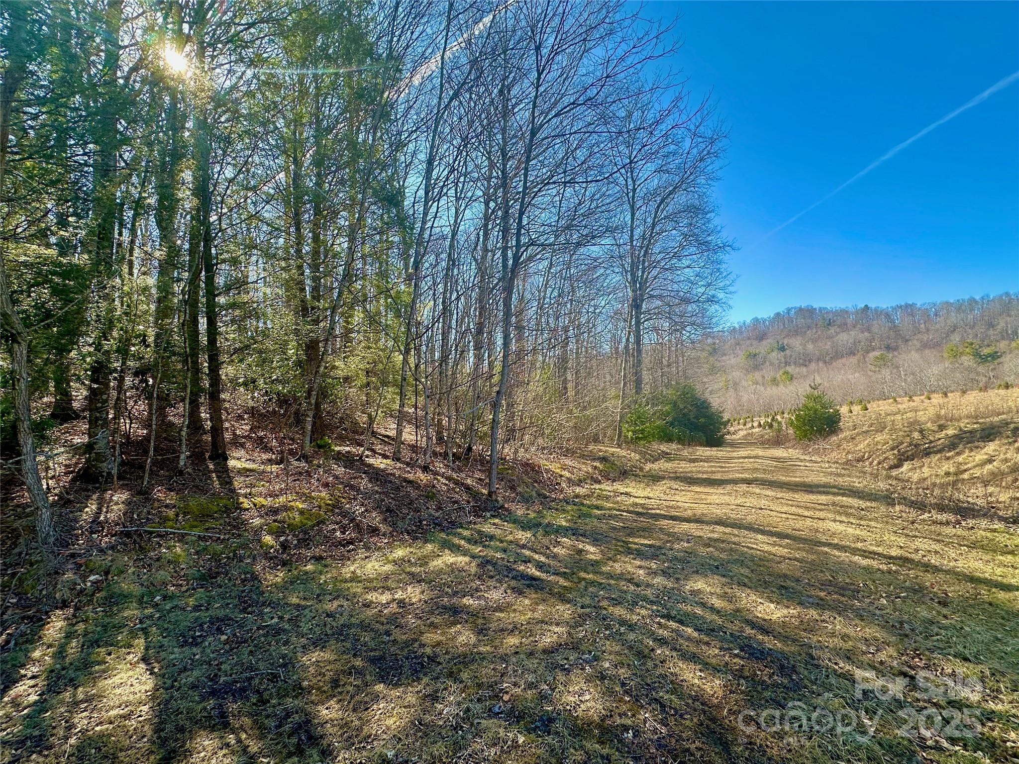 Tbd Snipe Hill Drive Property Photo 7