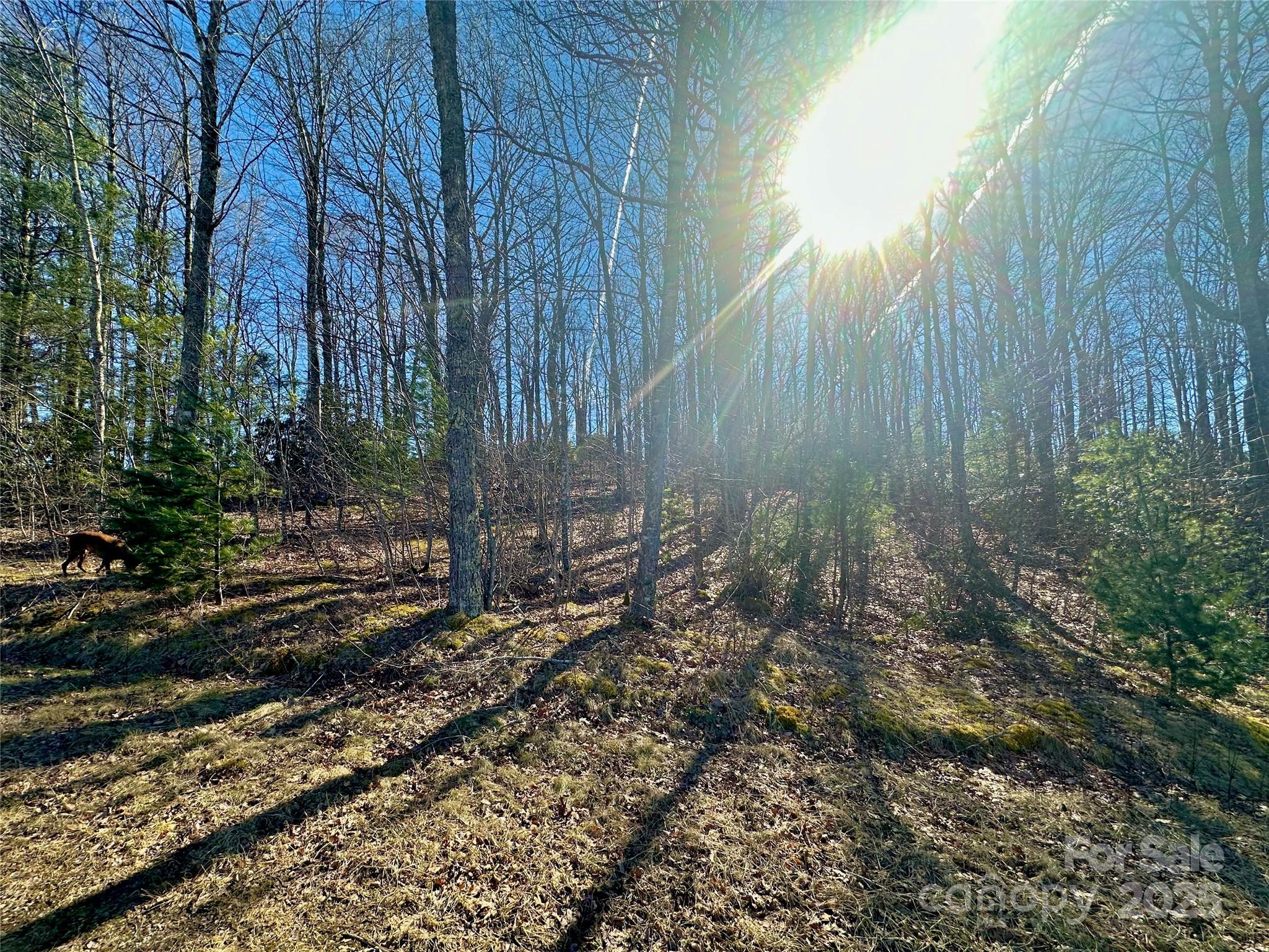 Tbd Snipe Hill Drive Property Photo 8