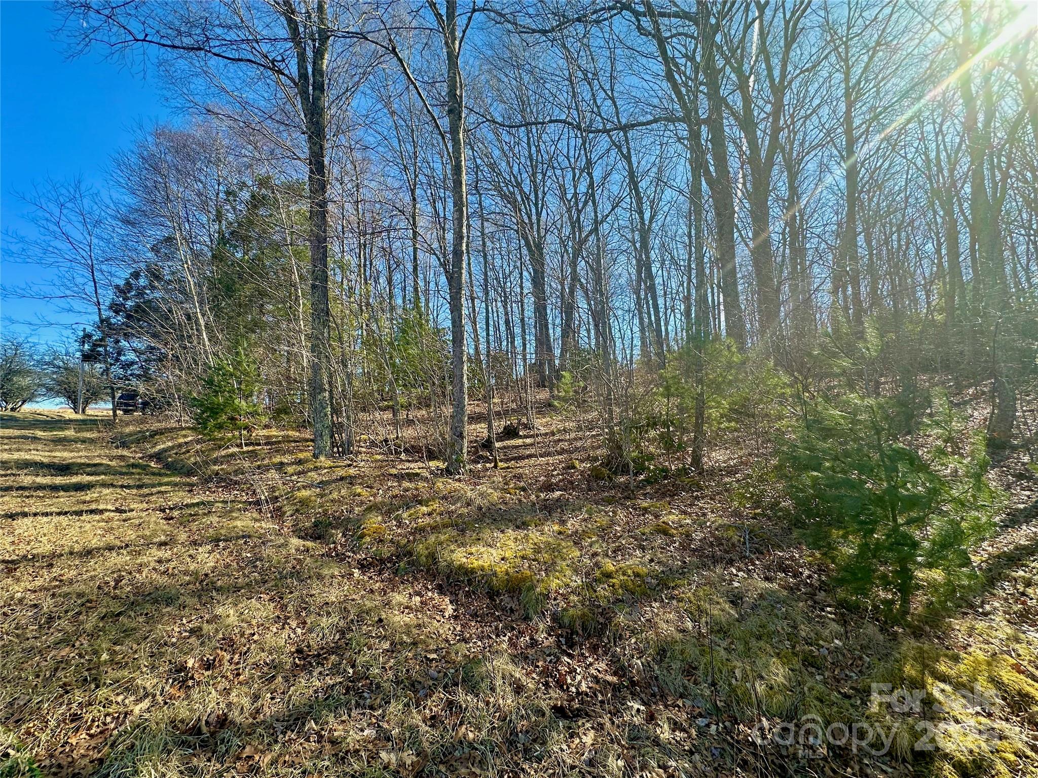 Tbd Snipe Hill Drive Property Photo 9