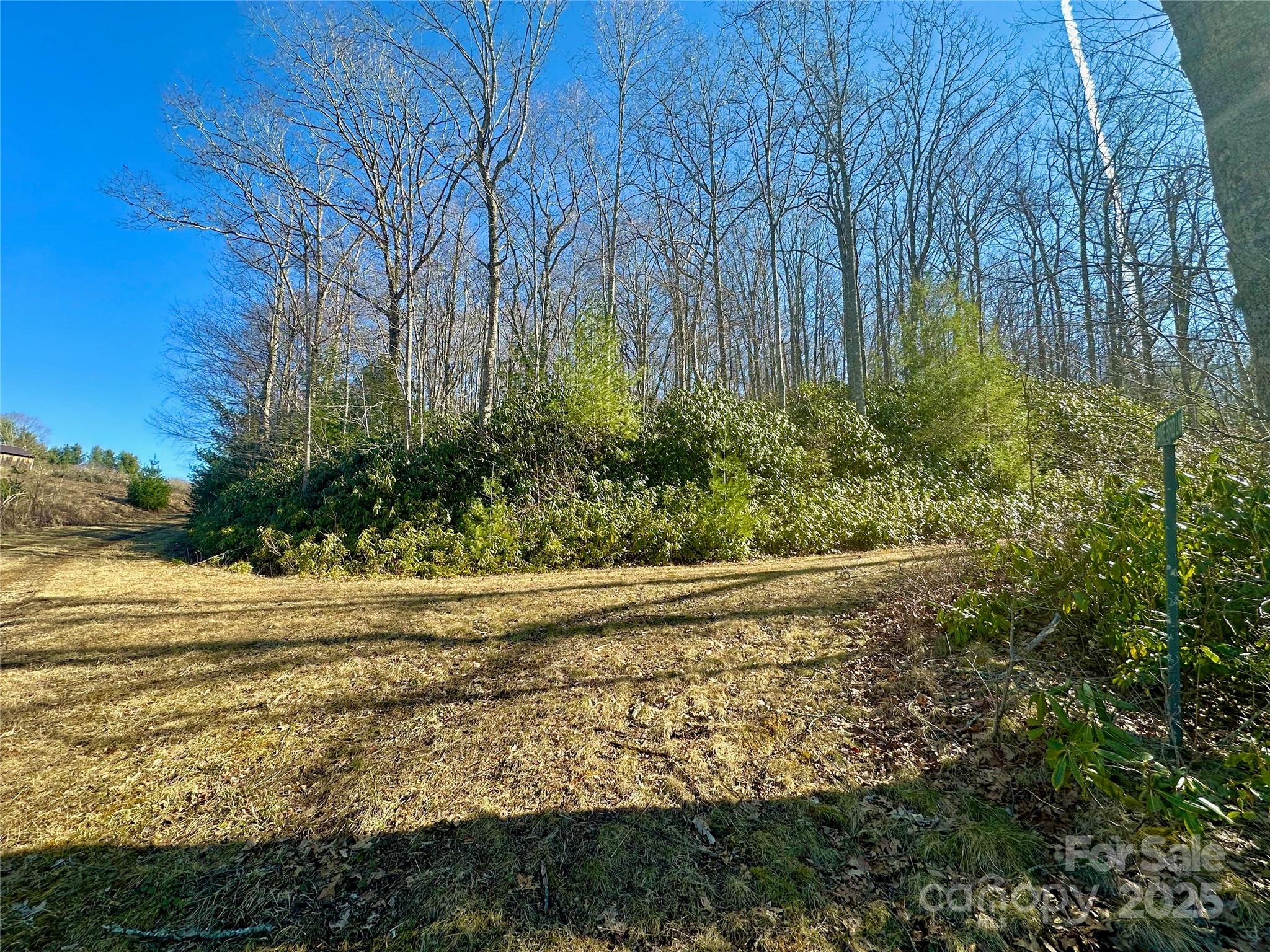 Tbd Snipe Hill Drive Property Photo 12