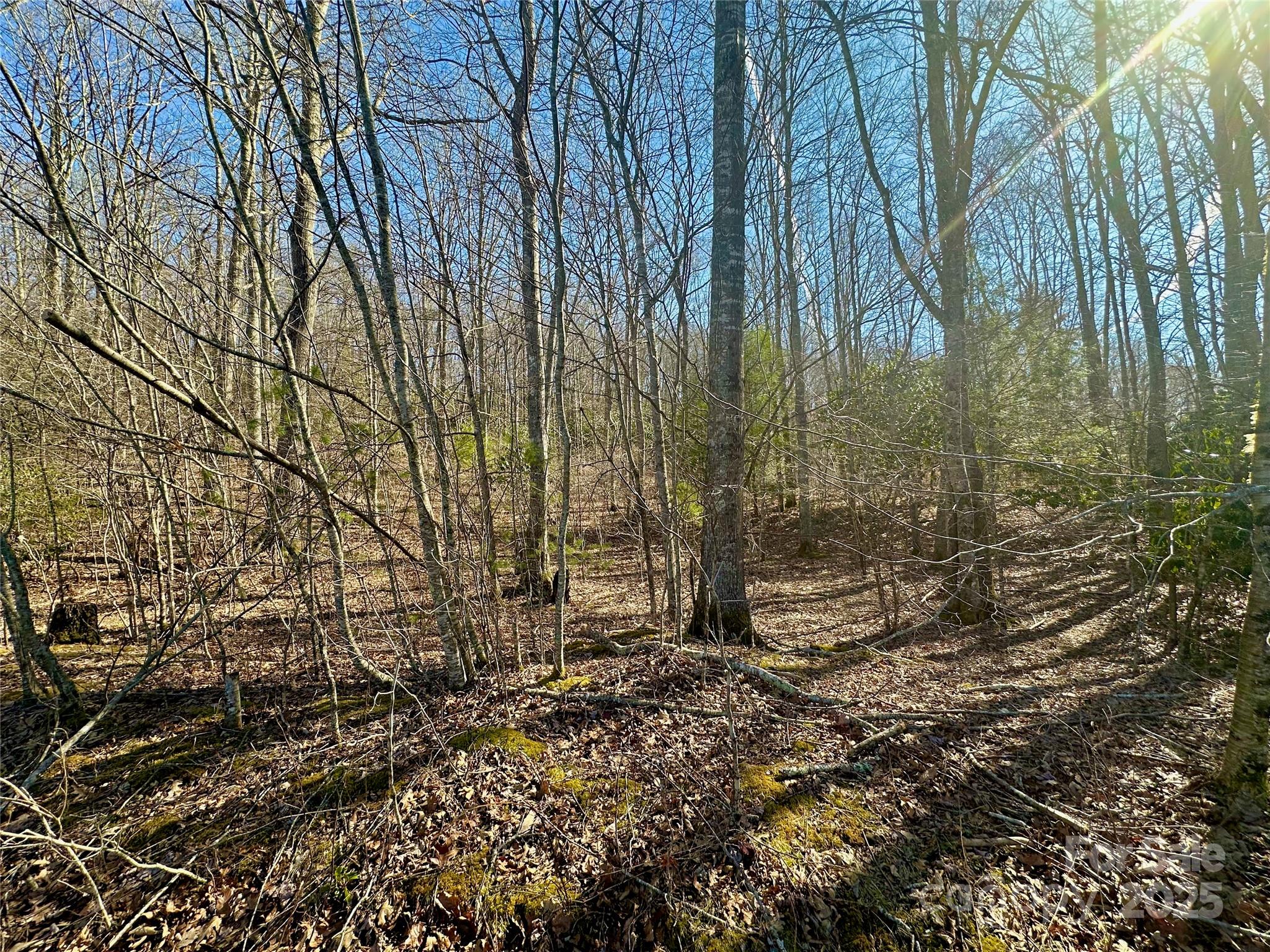 Tbd Snipe Hill Drive Property Photo 13