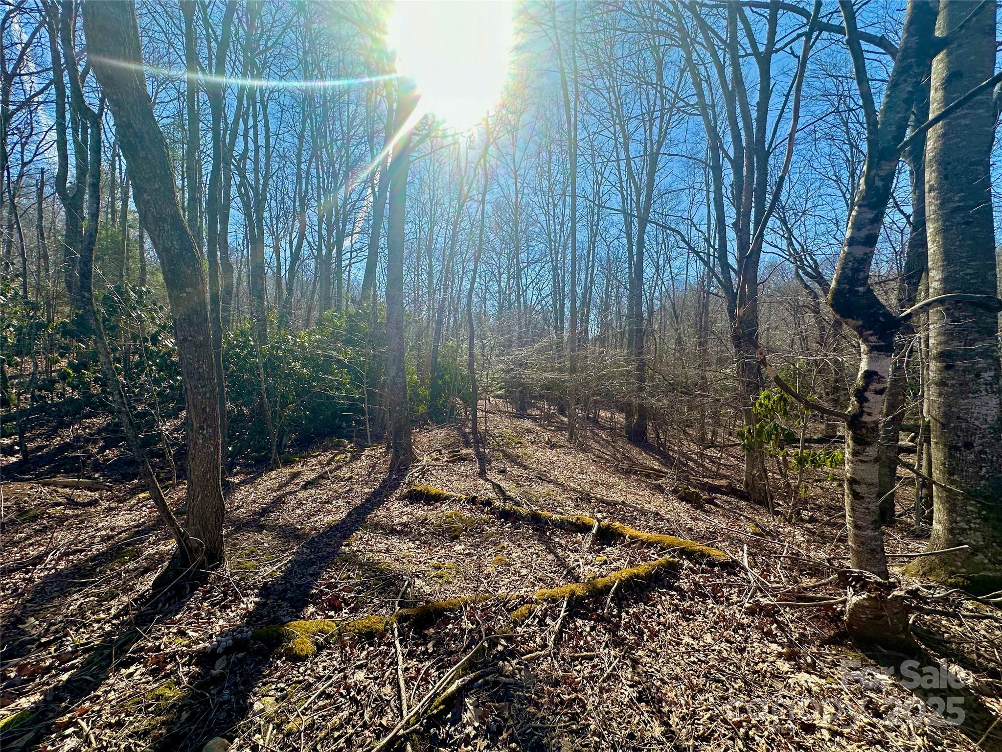Tbd Snipe Hill Drive Property Photo 14