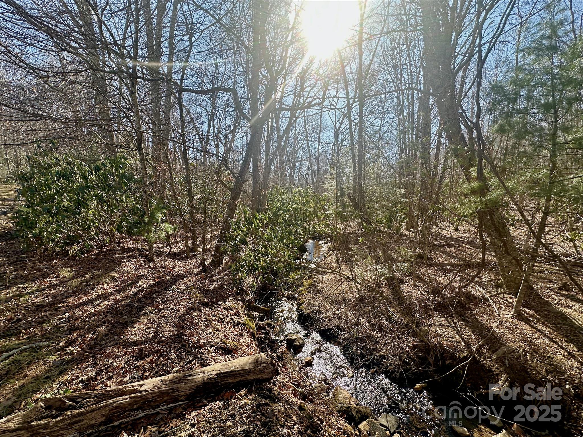 Tbd Snipe Hill Drive Property Photo 15