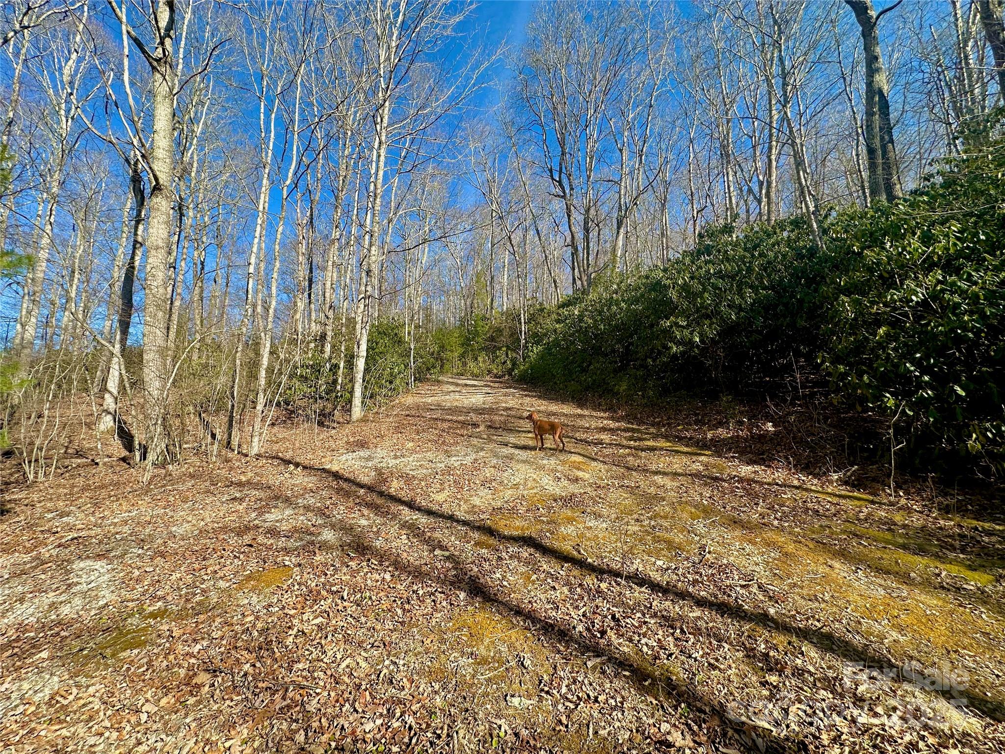 Tbd Snipe Hill Drive Property Photo 17