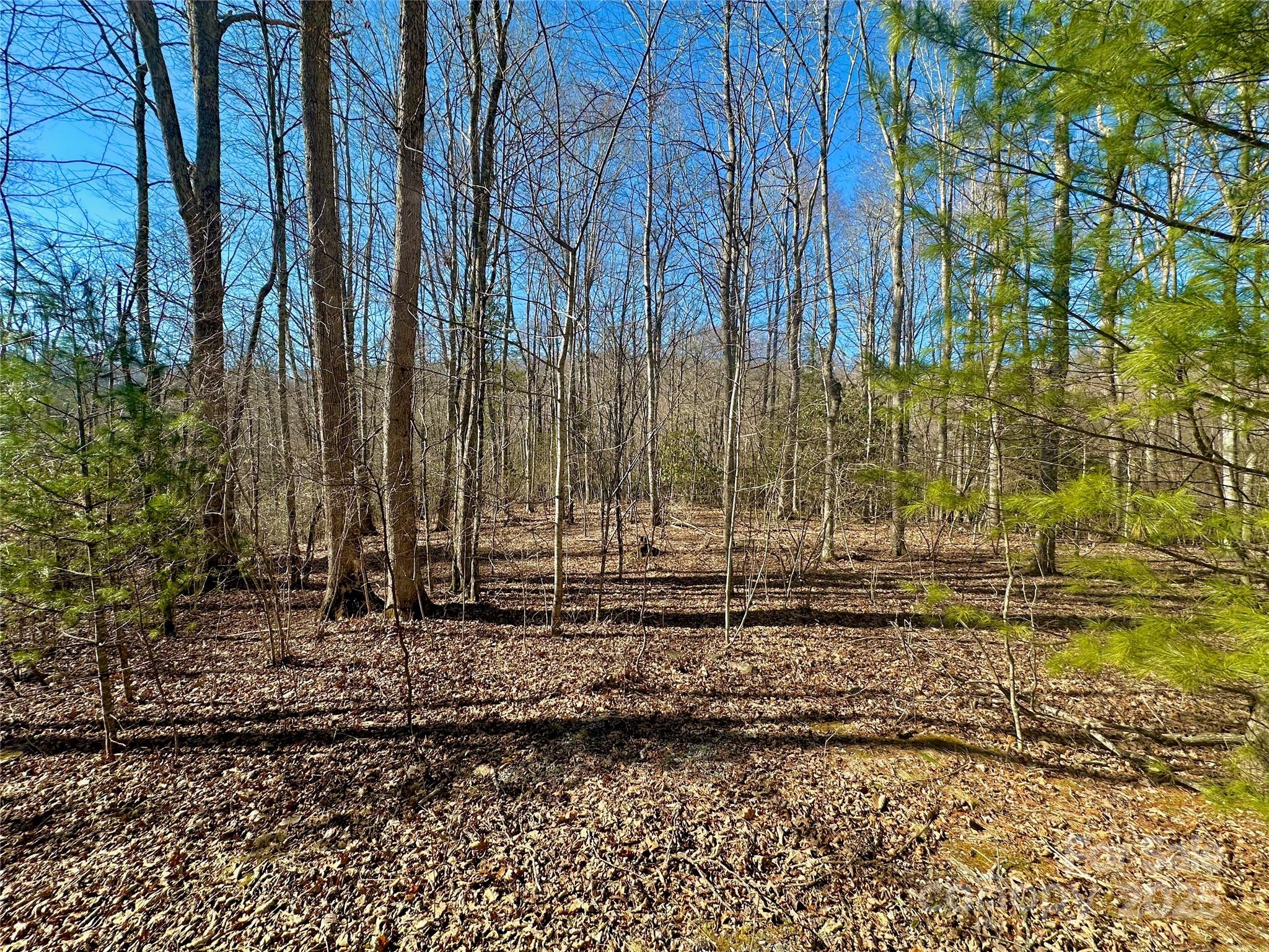 Tbd Snipe Hill Drive Property Photo 18