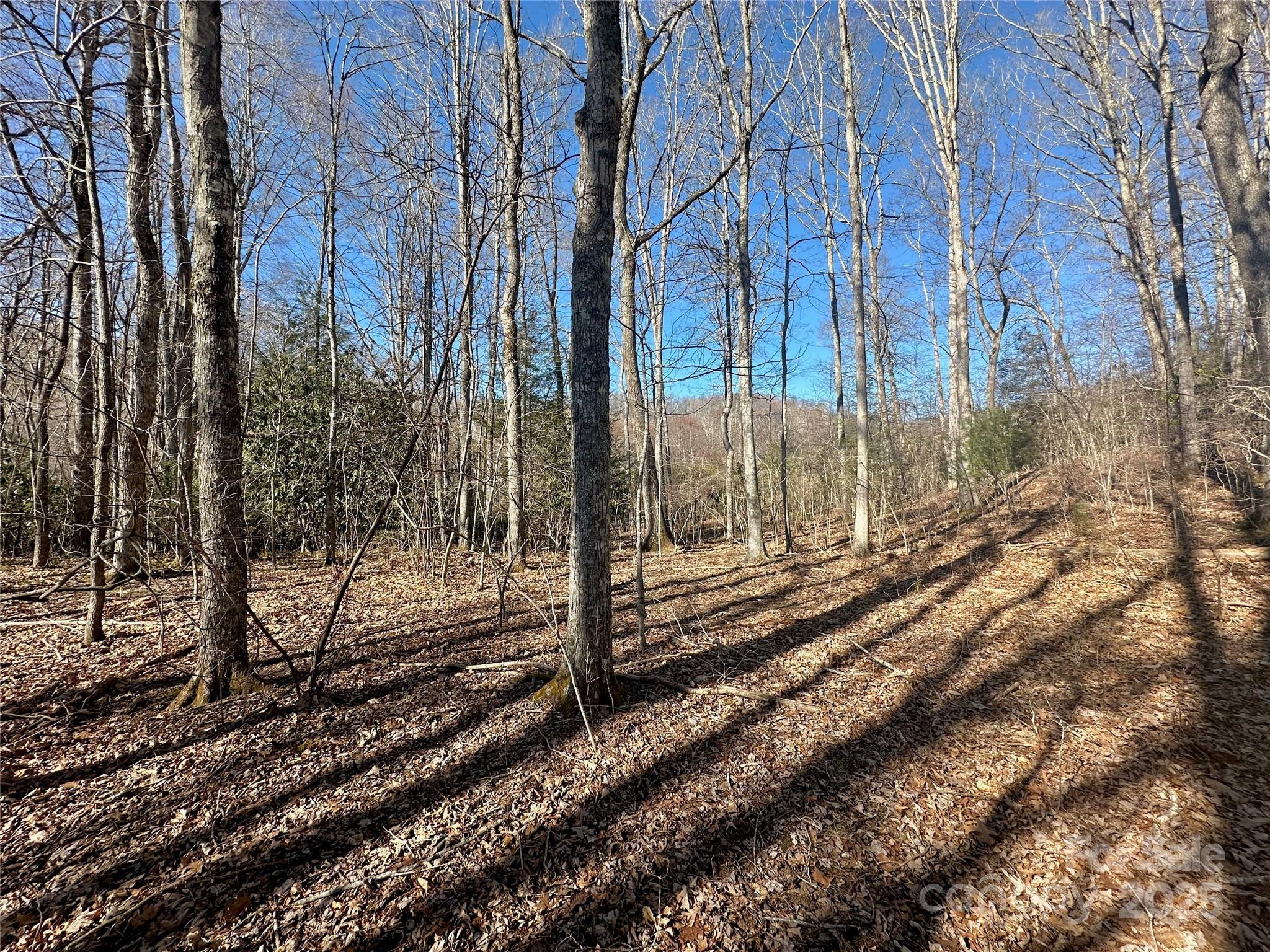 Tbd Snipe Hill Drive Property Photo 19
