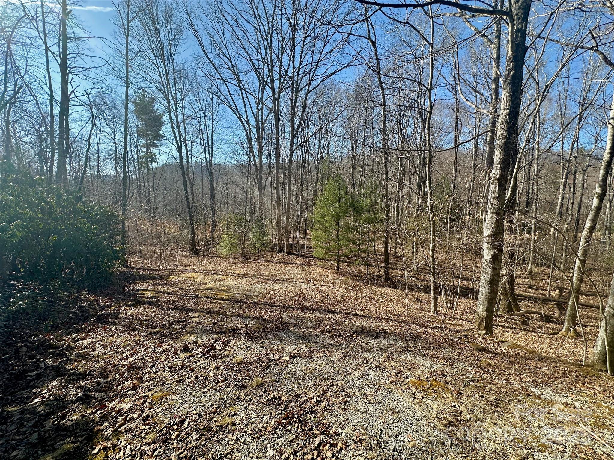 Tbd Snipe Hill Drive Property Photo 20