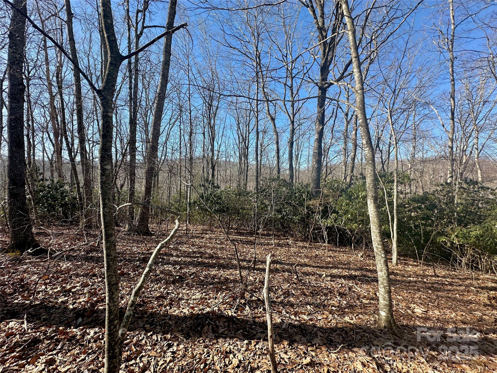 Tbd Snipe Hill Drive Property Photo 22