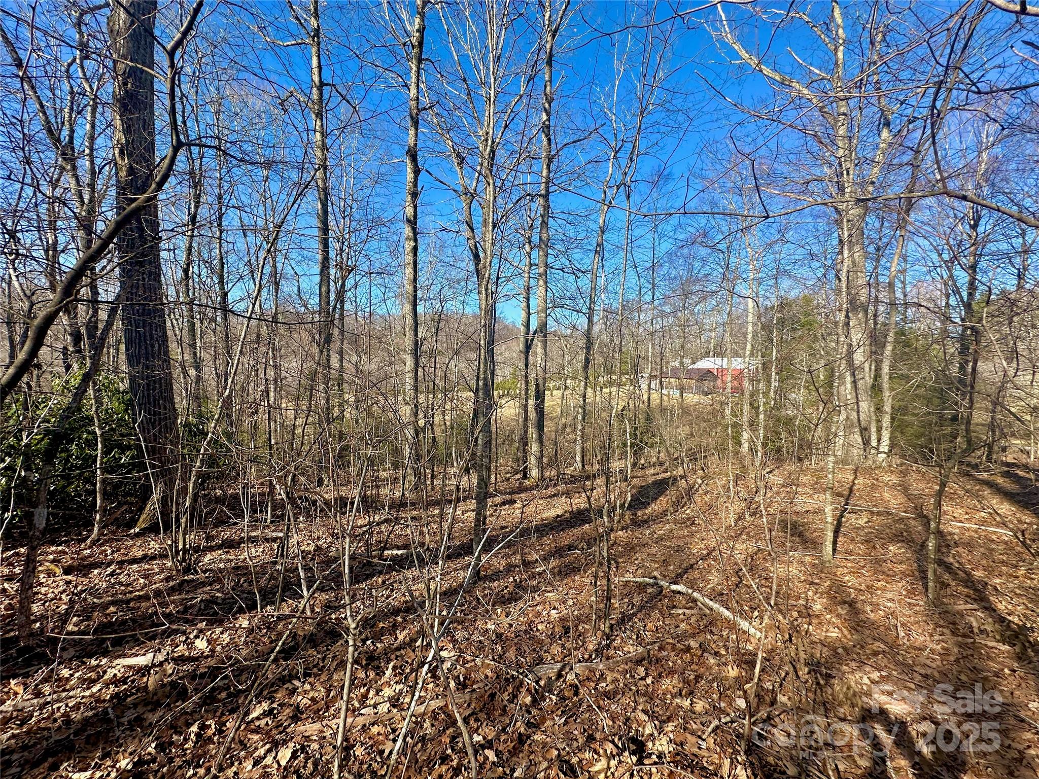 Tbd Snipe Hill Drive Property Photo 23