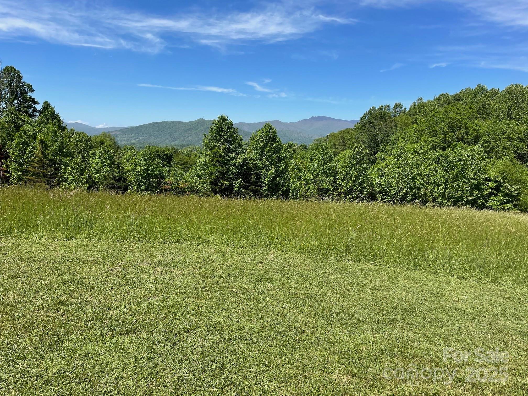 999 Chestnut Mountain Drive Property Photo 1