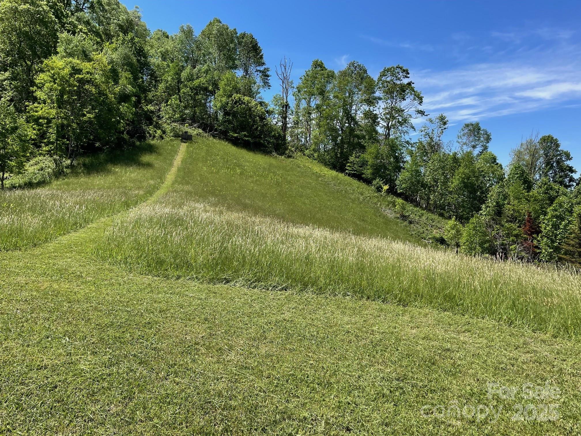 999 Chestnut Mountain Drive Property Photo 4