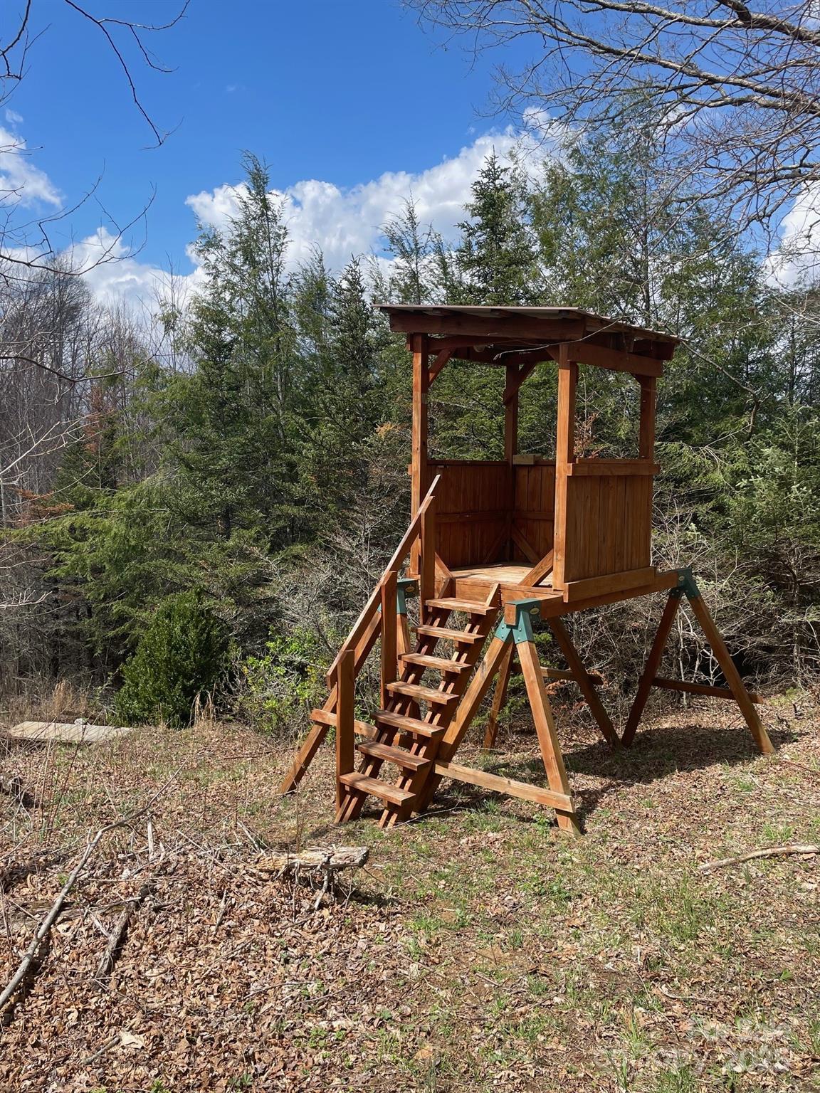 999 Chestnut Mountain Drive Property Photo 8