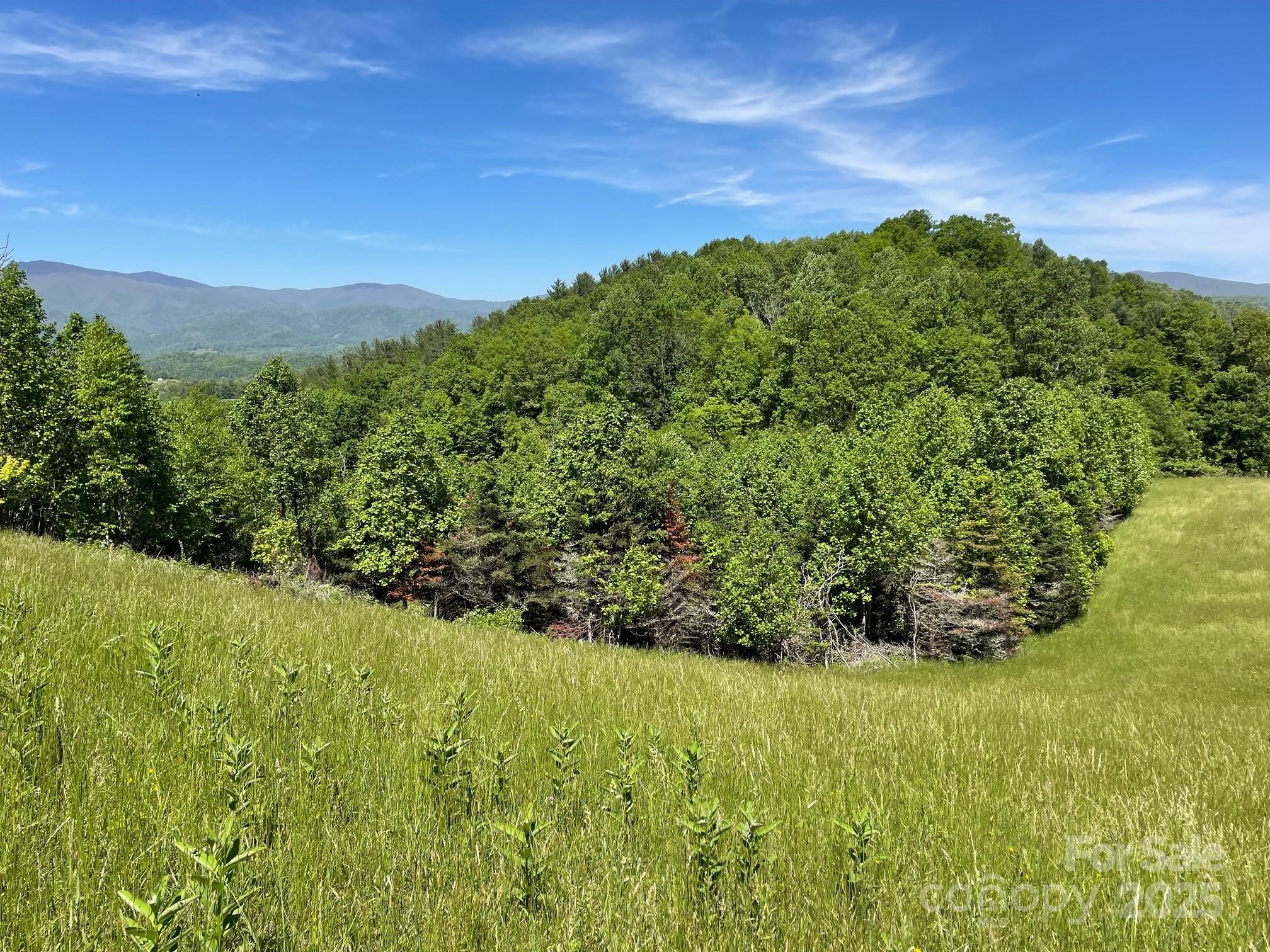 999 Chestnut Mountain Drive Property Photo 10