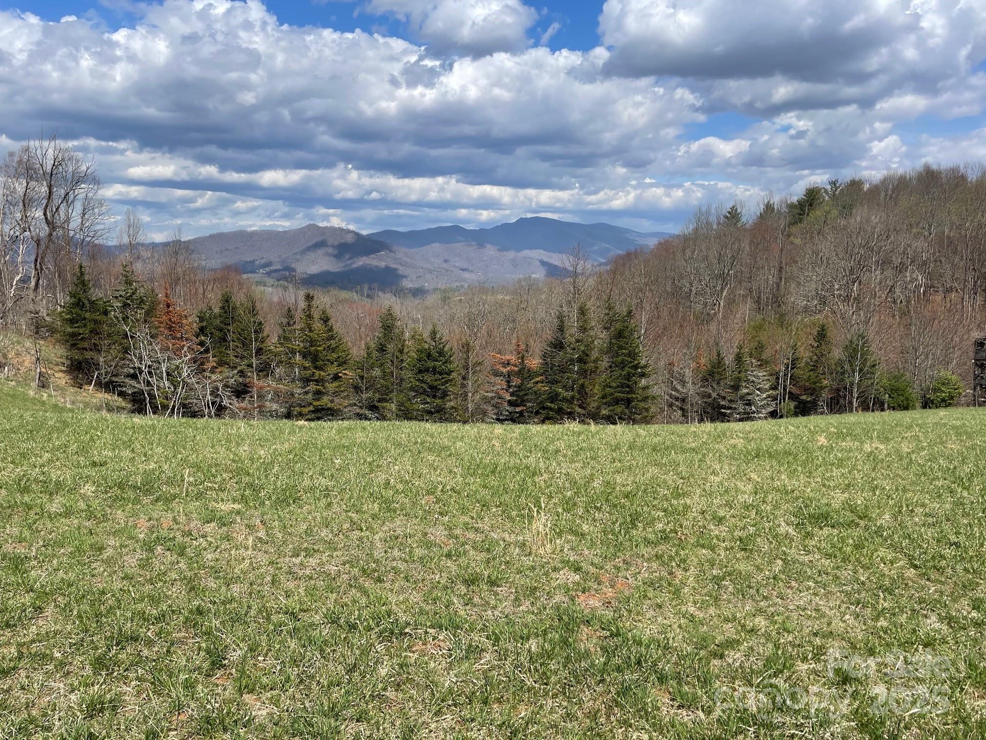 999 Chestnut Mountain Drive Property Photo 11