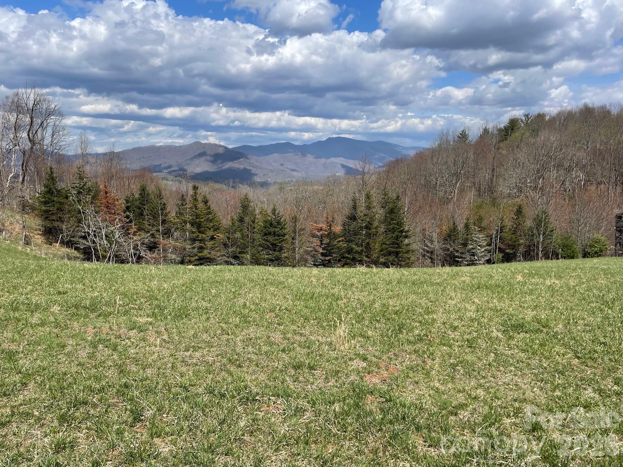 999 Chestnut Mountain Drive Property Photo 11