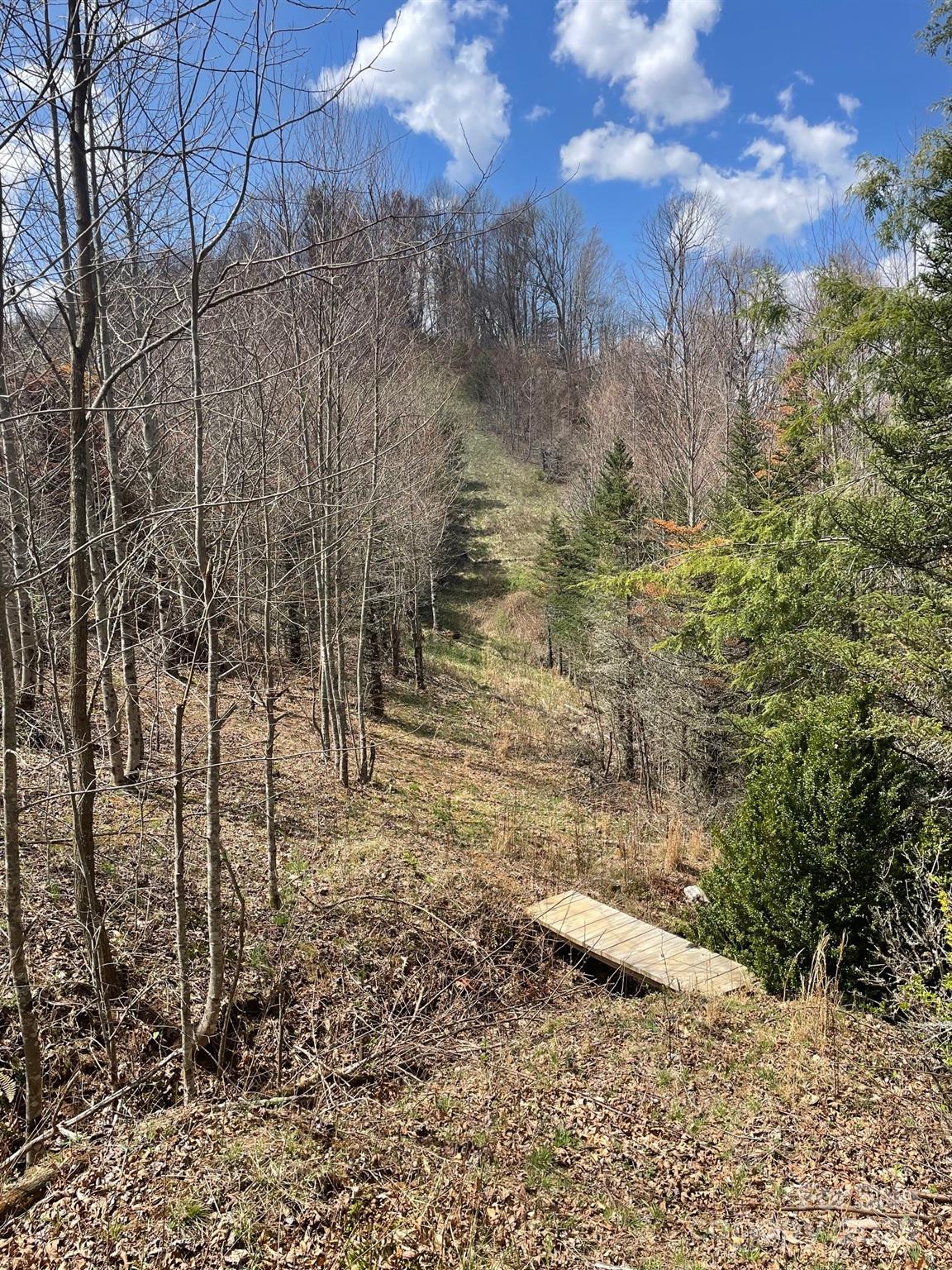 999 Chestnut Mountain Drive Property Photo 12