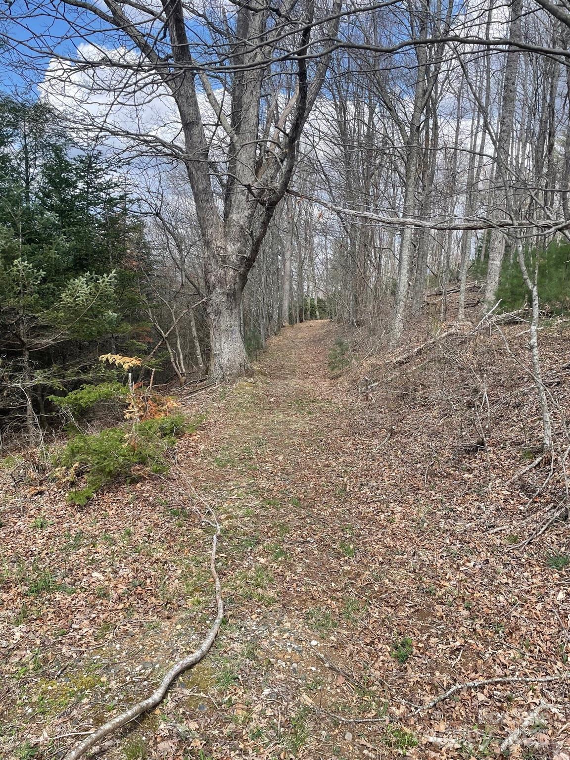 999 Chestnut Mountain Drive Property Photo 13