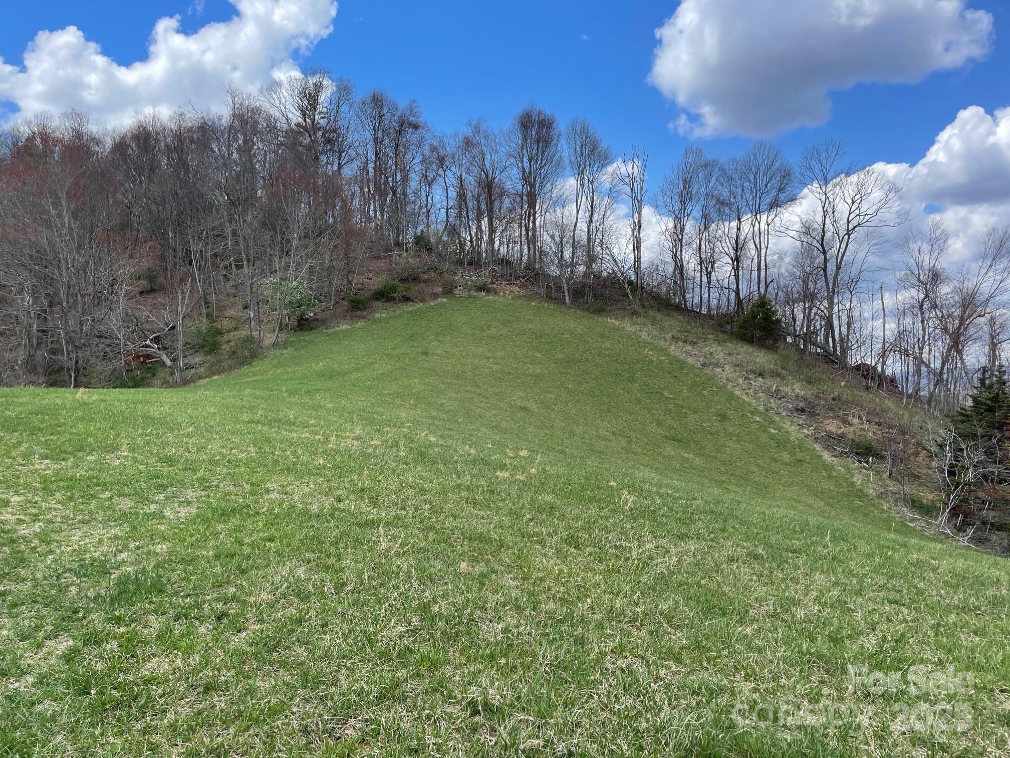 999 Chestnut Mountain Drive Property Photo 18