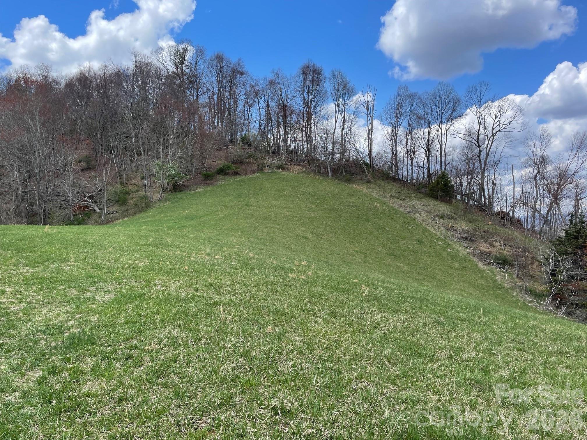 999 Chestnut Mountain Drive Property Photo 18
