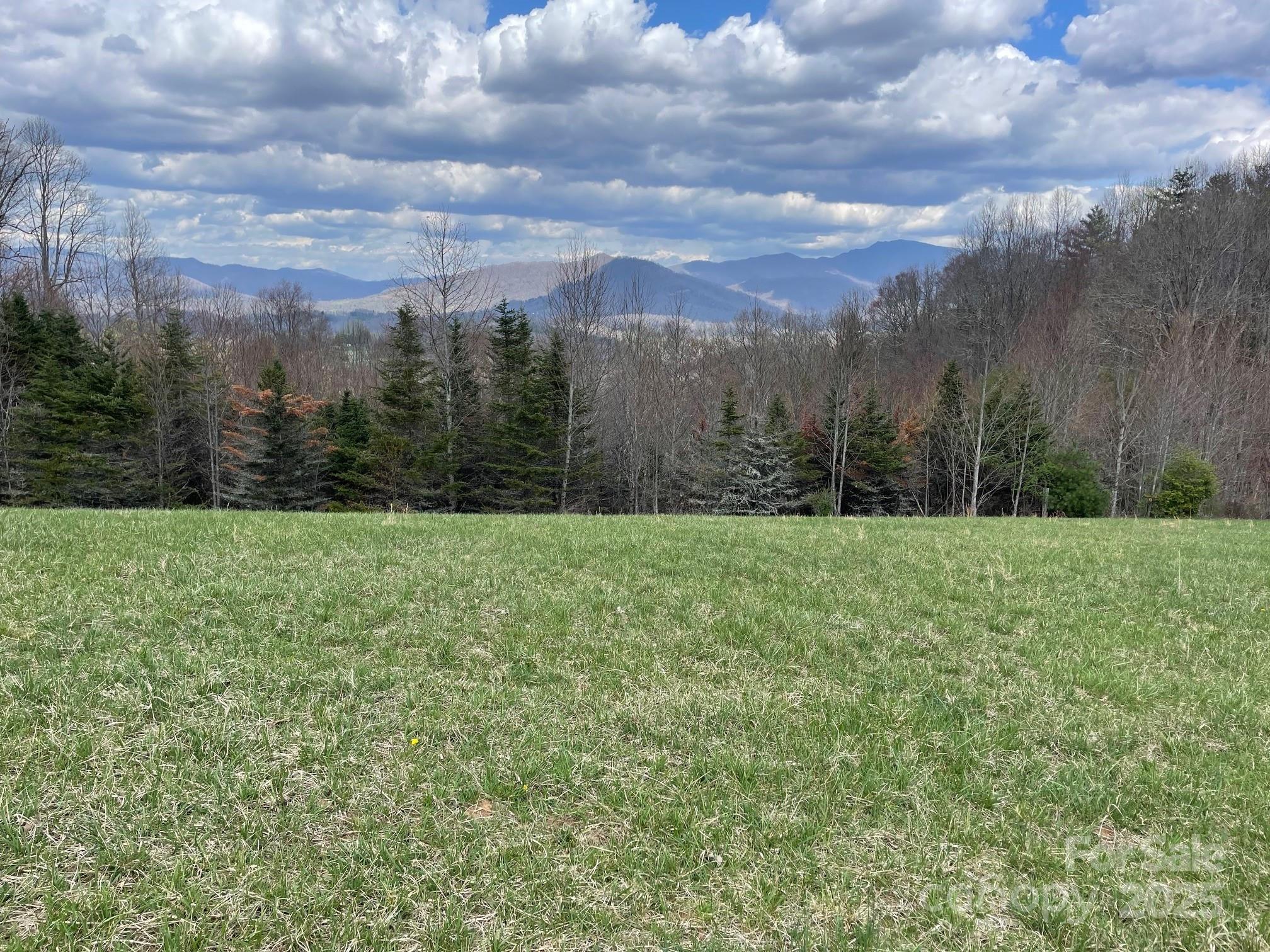 999 Chestnut Mountain Drive Property Photo 19