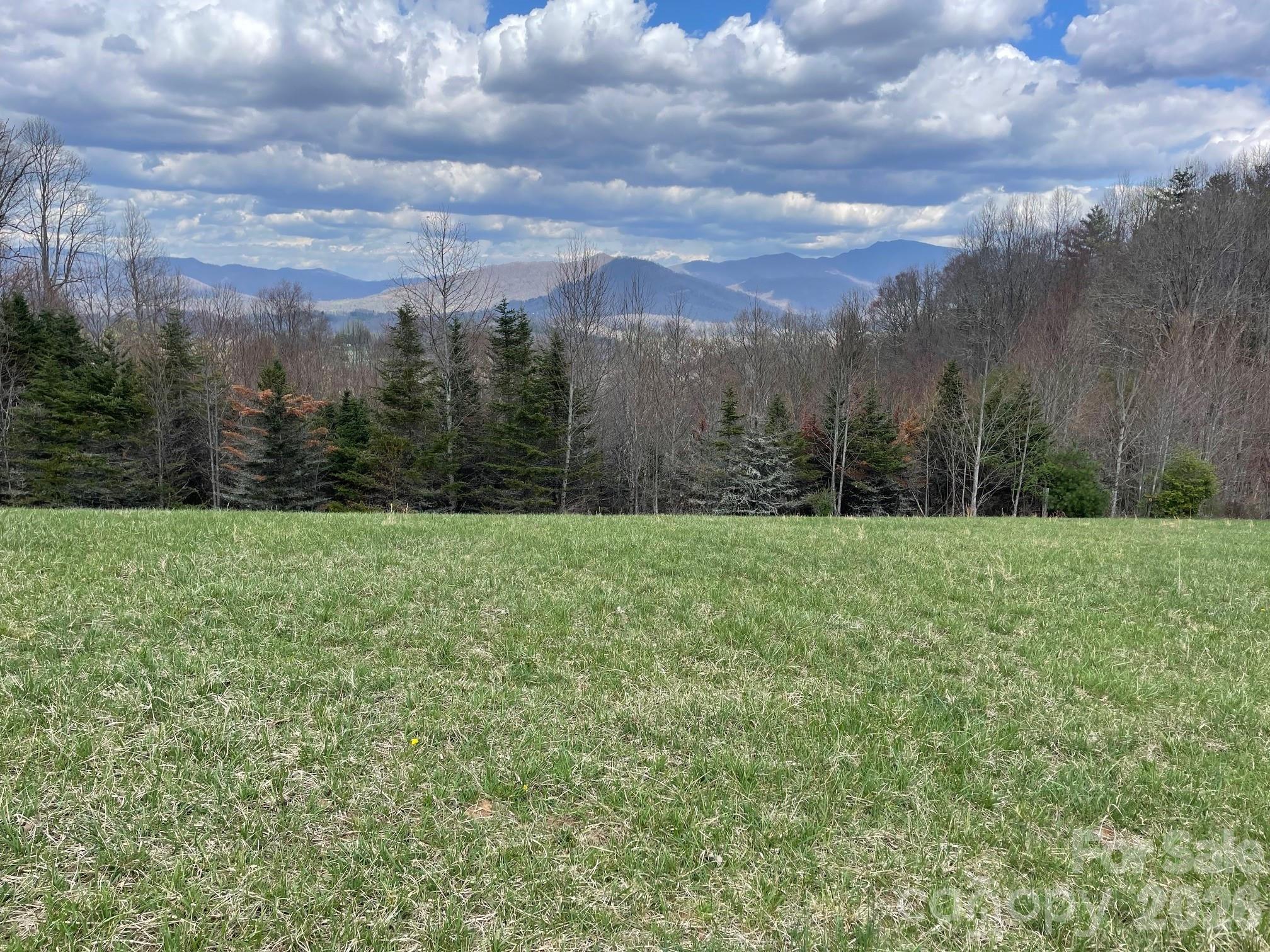 999 Chestnut Mountain Drive Property Photo 19